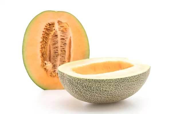 cantaloupe melon white jpg